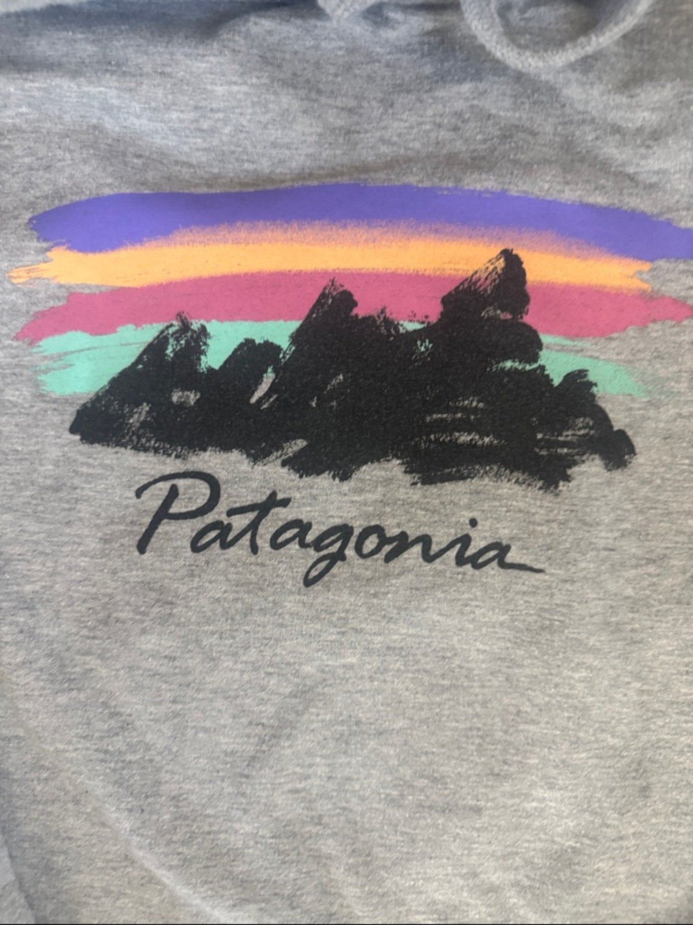 Patagonia Women's Size M Free Hand Fitz Roy Ahnya Hoody Blue Mountains